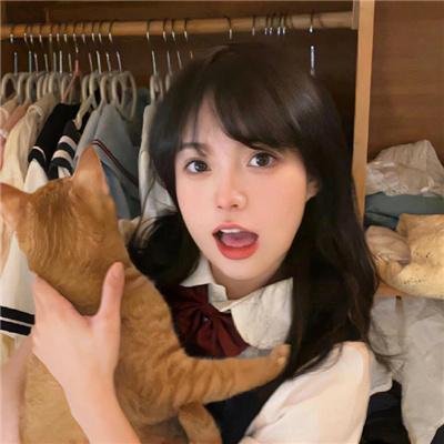 冬之光